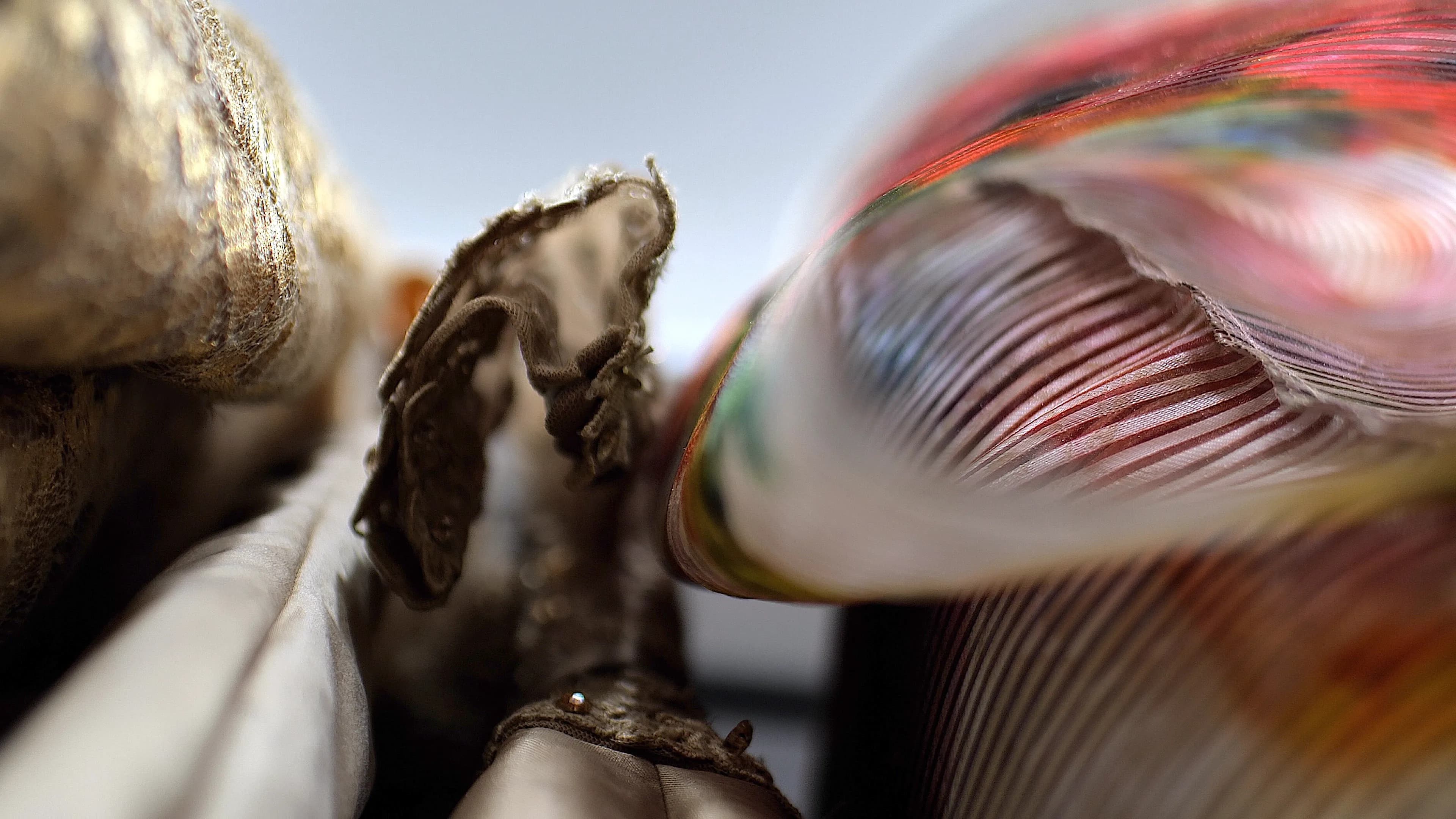 Dal filo alla visione: Flavia Pinello e la moda che non teme il futuro gallery 8