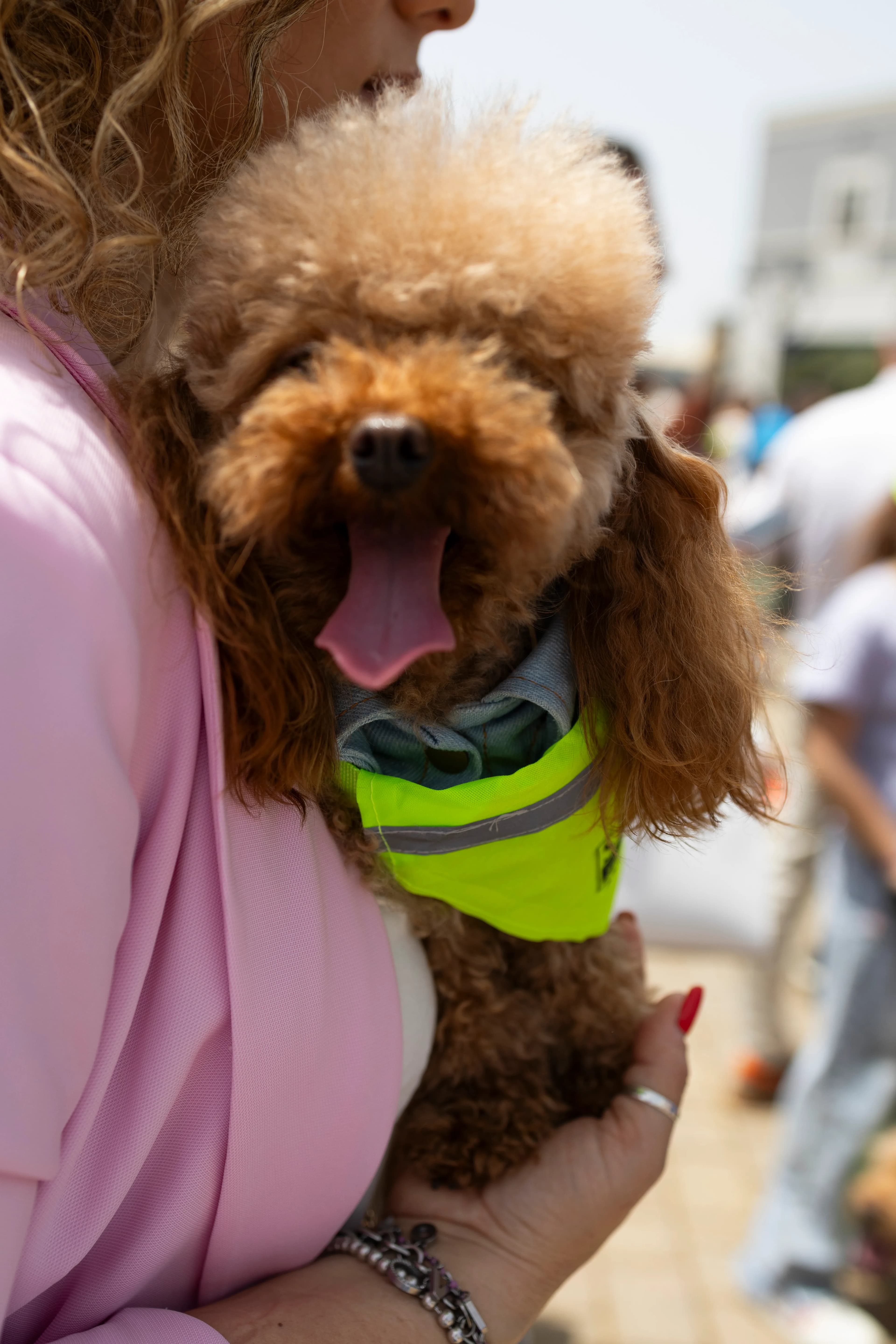 Sicilia Outlet Village diventa pet friendly con Village Loves Dog gallery 7