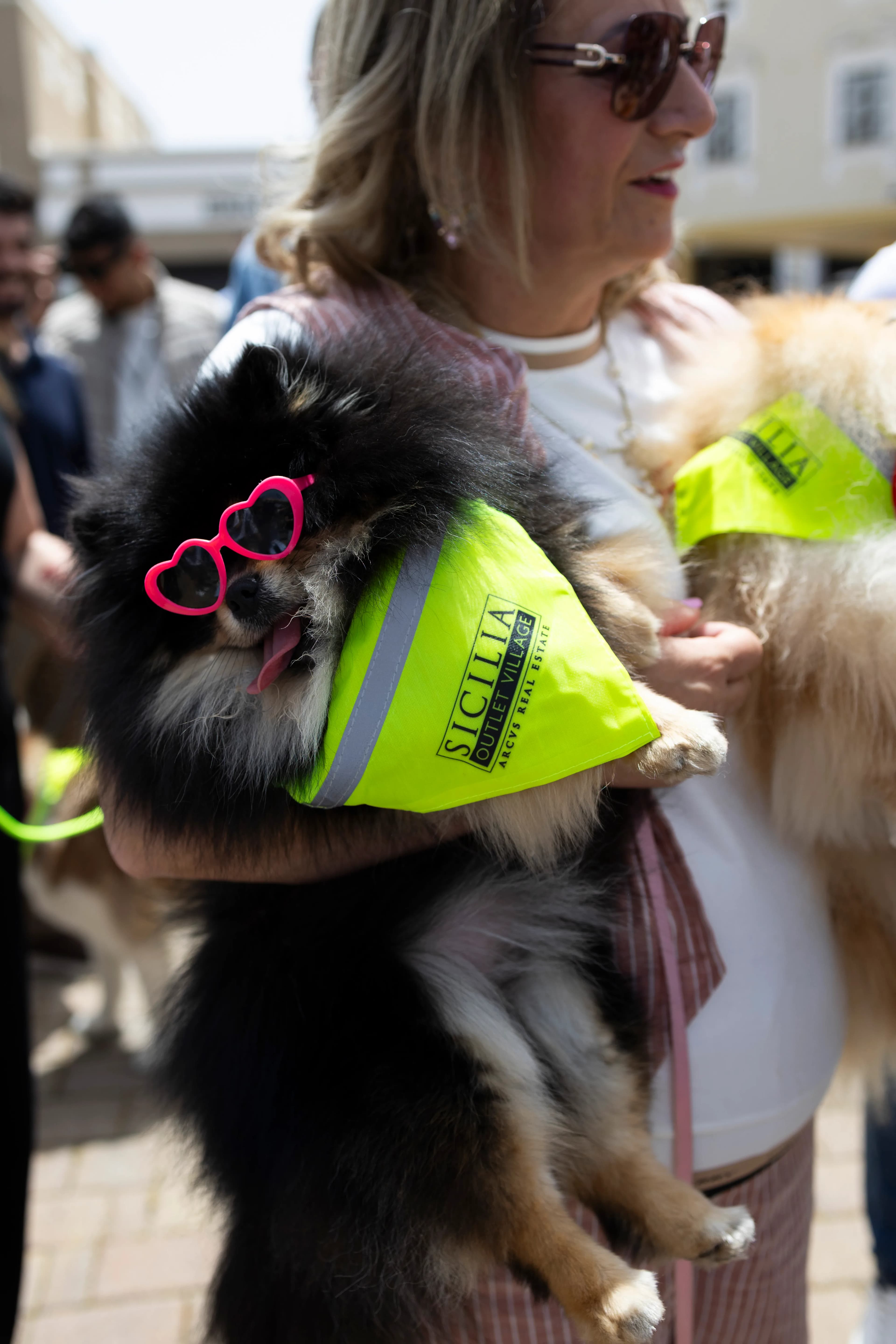 Sicilia Outlet Village diventa pet friendly con Village Loves Dog gallery 8